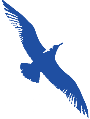 海角航空
