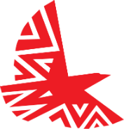 莫桑比克航空